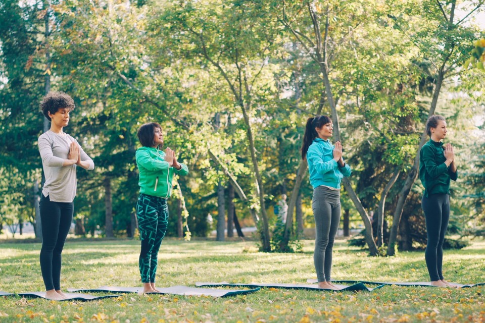 People meditating in a field